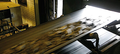 Tes conveyor belt