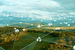 Environmental services Sustainability services - Environmental services